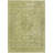 Machine Washable Indoor/Outdoor Claudian ACN1646 Cactus Rug-109535497