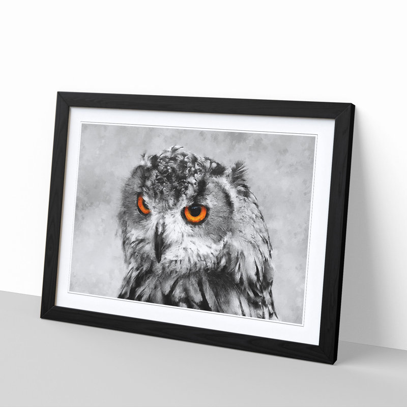 Orange Eyed Owl - Picture Frame Graphic Art Print, 62cm H x 87cm W x 2cm D, Black Framed