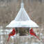 Mangeoire à oiseaux Krupp Sky Cafe-743197928-743197930