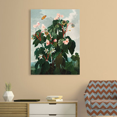 Begonia from the Temple of Flora by Robert John Thornton - Unframed Painting on Canvas