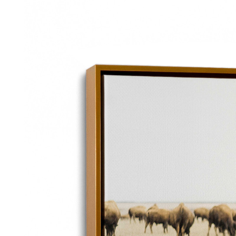 Impression sur toile Wild Plains, H 24,75 po x l 36,75 po x P 1,75 po, Cadre flottant or poli