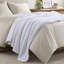 Couverture en polyester luxueuse et confortable, idéale pour une utilisation toute l'année-137900295-137900296