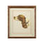 Danchin Cocker Spaniel Print