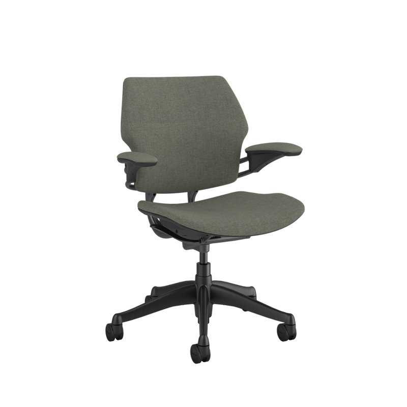Freedom Ergonomic Task Chair - Guest, Black, Graphite