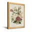 Arrangement floral de plantes et de fleurs avec des roses et des feuilles vertes