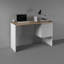 Rudman Computer Desk-87618046