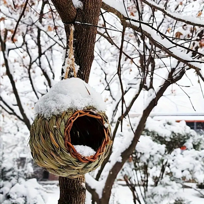 Cage à oiseaux suspendue pour colibris pour oiseaux et oiseaux