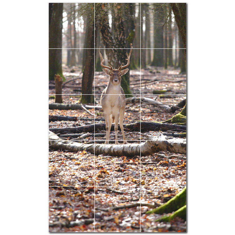 Cerf photo 8 x 8