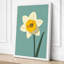 Golden Daffodil Botanical - Wrapped Canvas-474364852-474364854