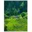 Impression de maison de forêt - Art mural de cabane douillette - affiche sur toile nature forêt-87817169-87817175