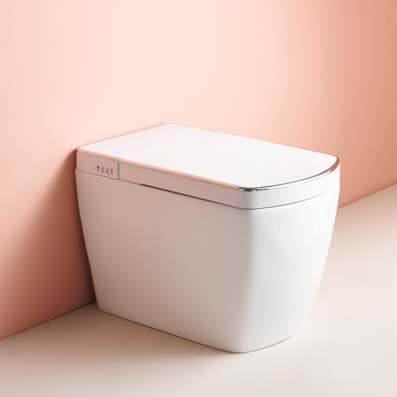 Toilette allongée une pièce 1,28 GPF (économe en eau) (siège inclus), Gris / blanc
