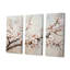 Minimalisme sur fond de cerisier beige II-853786652-853786654