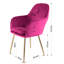 Taraji 46cm H Velvet Upholstered Metal Armchair-22261457-22261463