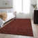 Premium Machine Washable Cerrito AMF514 Burgundy Rug