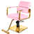 Similicuir rose est en rupture de stock