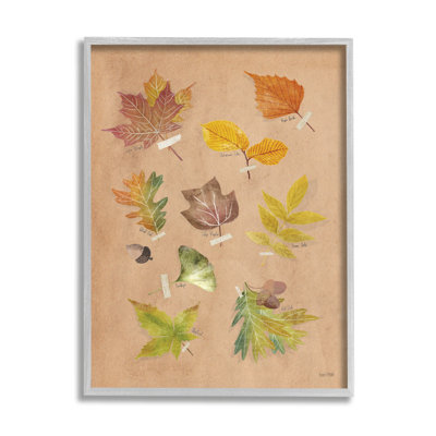 Conception d'art sur toile Stupell Industries Woodland Leaf par House Fenway