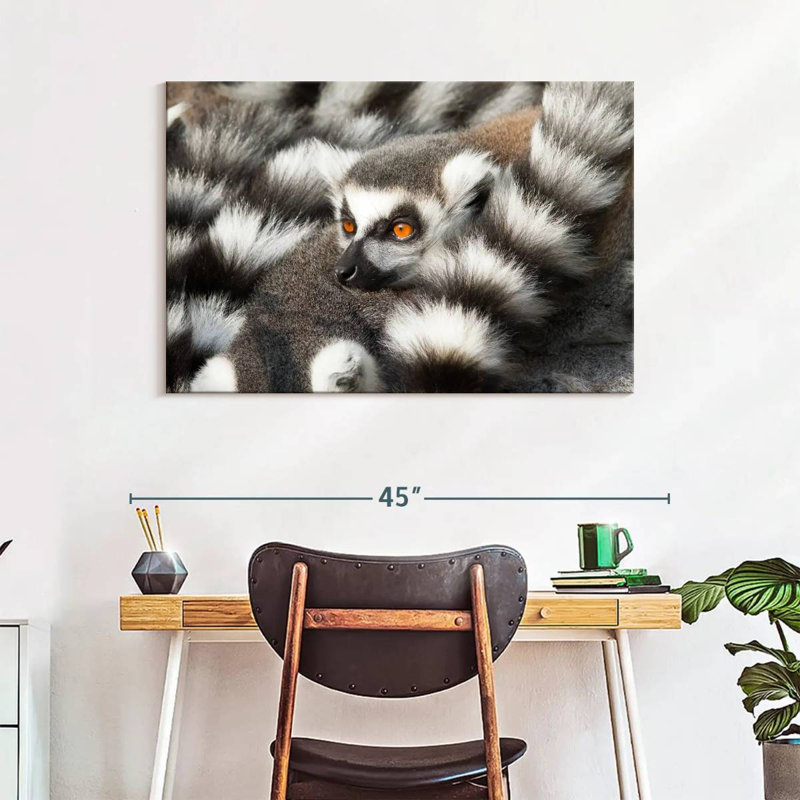 Crowle Ring-Tailed Lemur, 26" H x 39" W
