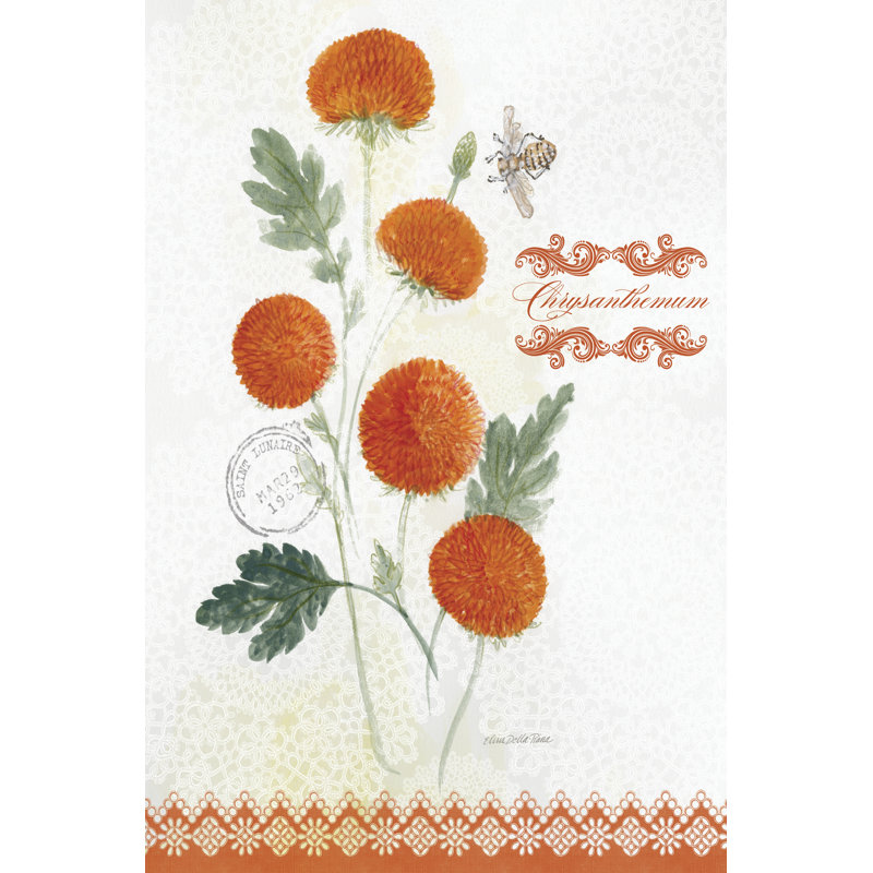Flower Study On Lace IV by Elissa Della-Piana - Wrapped Canvas Print, 46cm H x 30cm W