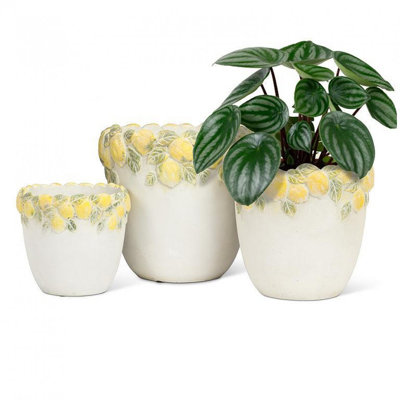Grand pot à fleurs bord de citron