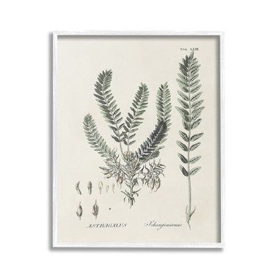 ForestLeavesDiagramGicleeArtbyMartini