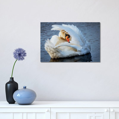 Preening by David Gardiner - Wrapped Canvas Print