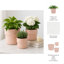 Pot de fleurs de style champignon pour la décoration intérieure et extérieure - Pots de fleurs pour la décoration de salon ou de patio - ensemble de 3, 9 po, 7 po 6 po, rose-2092625232