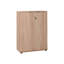 Denoris 2 -Door 3 -Shelf