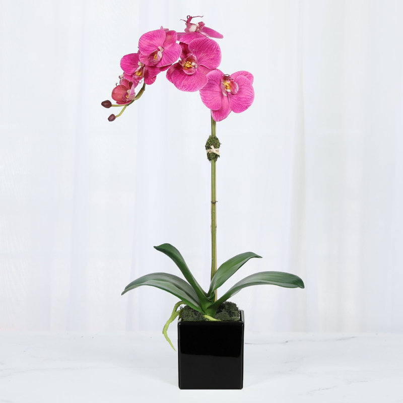 Arrangement de fausses orchidées, Noir, Rose