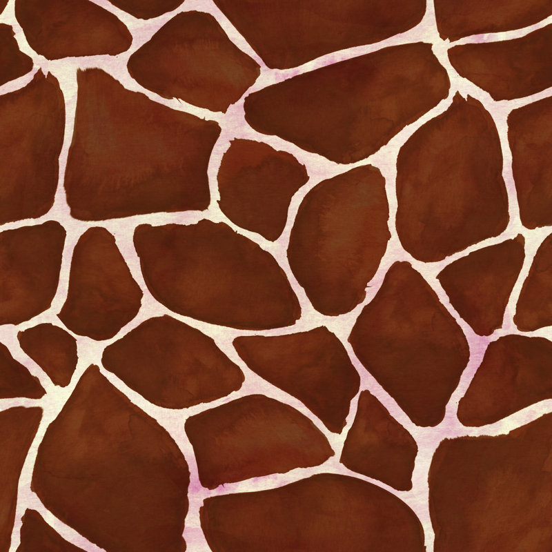 Giraffe Skin Seamless Pattern - Wrapped Canvas Print, 51cm H x 51cm W x 3.8cm D