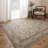 Century Oriental Indoor Rug-849864949