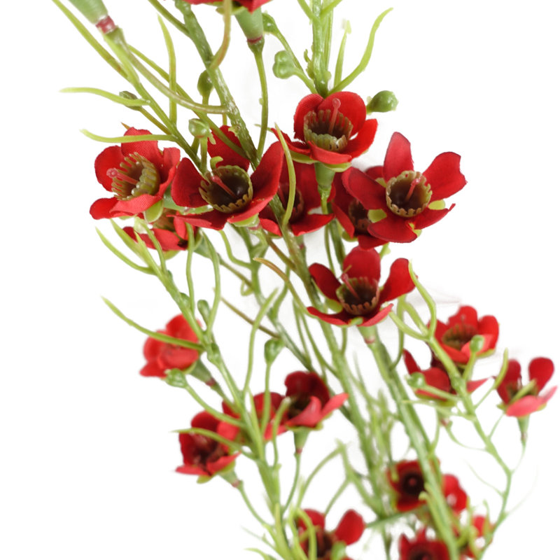 Artificial Arrangement, Red
