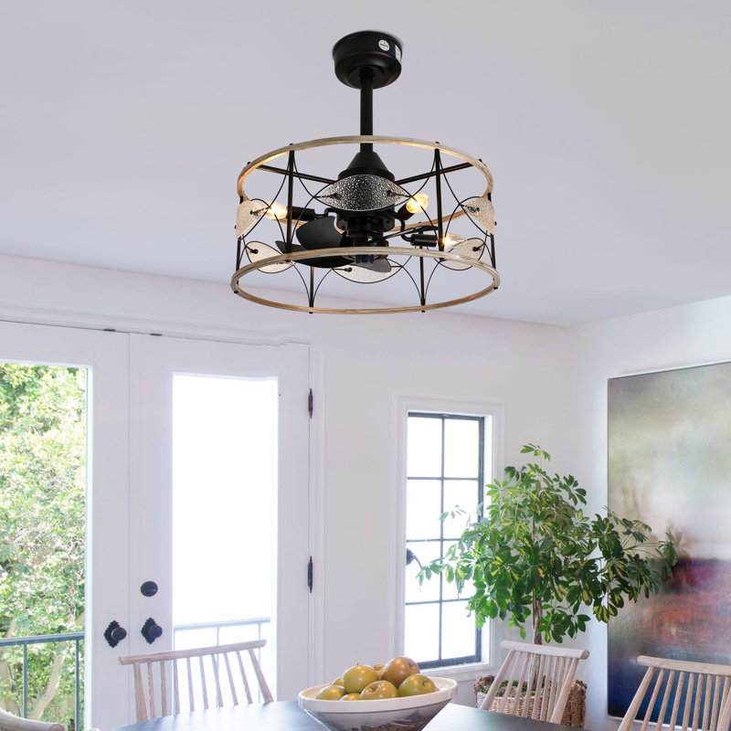 Ventilateur de plafond cage 19 po avec ensemble d'éclairage et télécommande