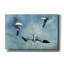 «Gannets Trio» par Carlos Casamayor, art mural sur toile-564537209