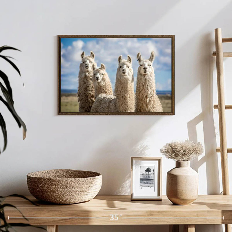 Lamas blancs moelleux, 19 po x 13 po, Cadre flottant noyer