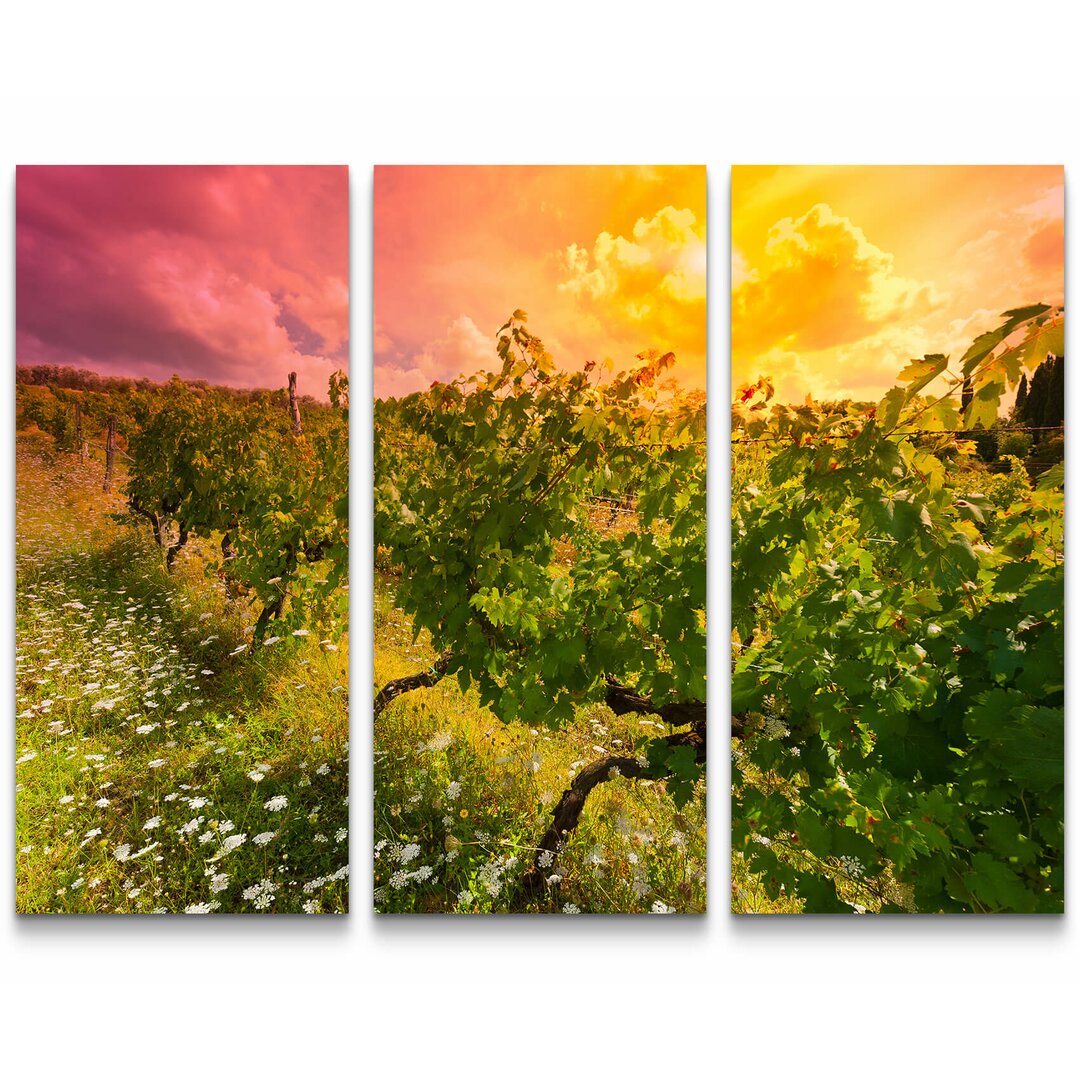 3-tlg. Leinwandbilder-Set Sonnenuntergang hinter Weinberg