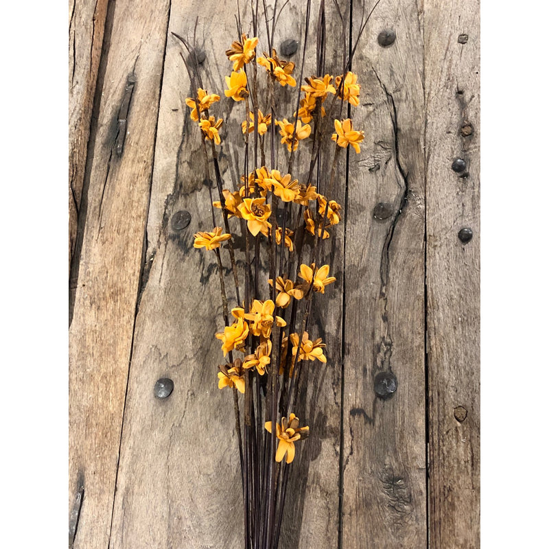 Arrangement, Tangerine/Carmel