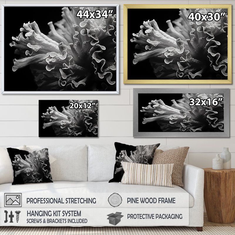 «Anemoner» en noir et blanc, photo III sur toile, H 16 po x l 32 po x P 1 po, Toile tendue