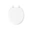 Ridgewood Toilet Seat-91059861-3834737