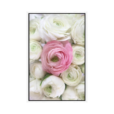 Vintage Ranunculus In White And Pink by Blursbyai - Gallery-Wrapped Canvas Giclée on Canvas