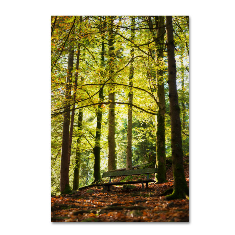 « pause », reproduction de photo sur toile encadrée, H 24 po x l 16 po x P 2 po, Toile tendue