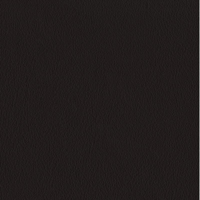 Elan Black Sample