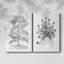 Toile tendue avec châssis noir et blanc pour plante B&W - prêt à accrocher