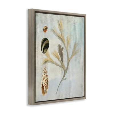 Mixed Seashells & Coral Floating Frame, design by Susan Arnot