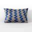 Coussin Plutus-103836029-103836030