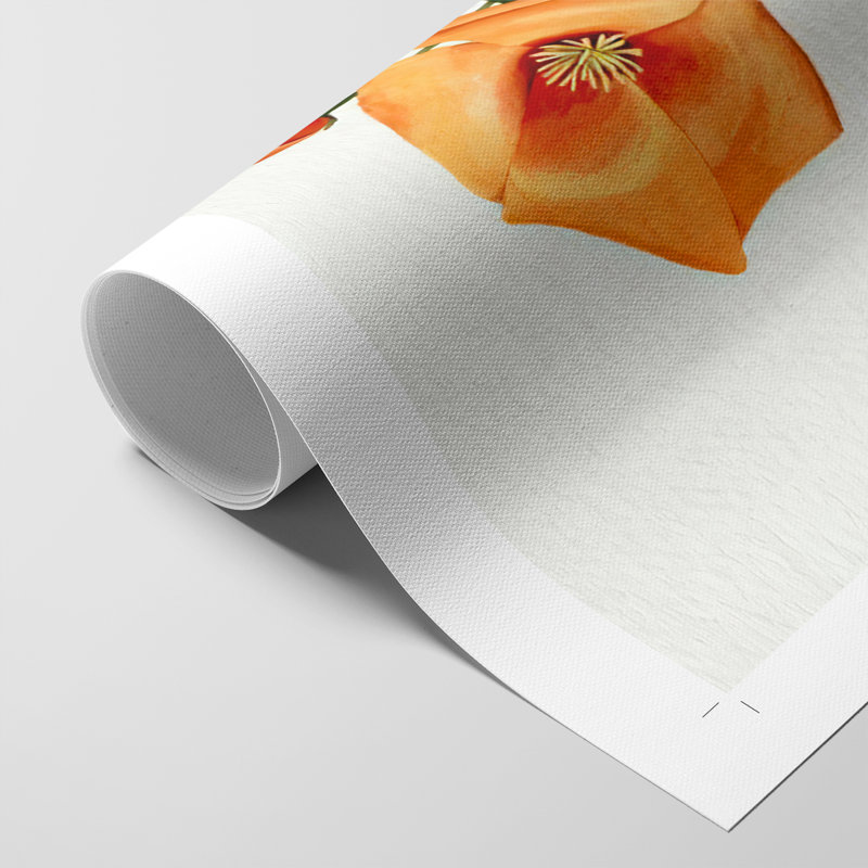 California Poppy Vase I - Impression sur toile seulement - NON CADRE
