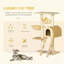 Kristopher 98cm H Cat Tree