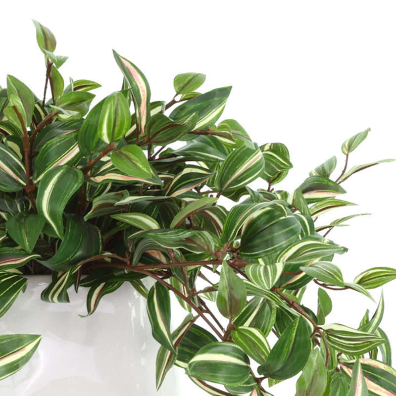 Tradescantia Zebrina Arranged In Ceramic Vase, Green, 14"H x 26"W x 17"D