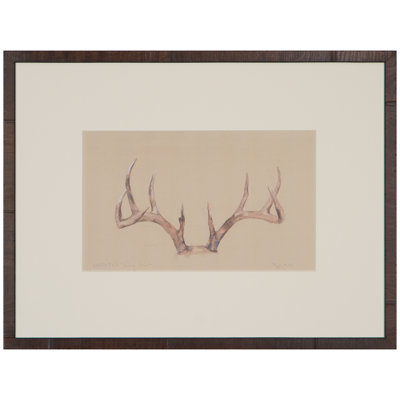 " White Tail Nine Point "