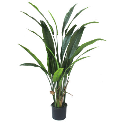 63'' Faux Palm Plant in Pot