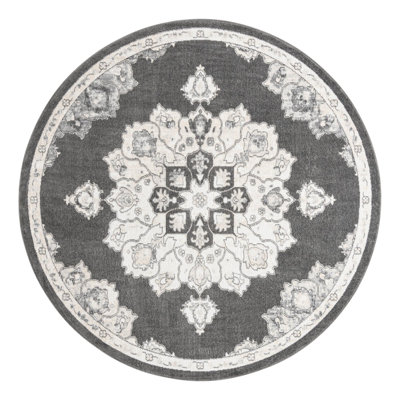 Oriental Indoor Rug